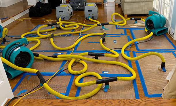 Professional Structural Drying And Dehumidification technician working in Washington, KS